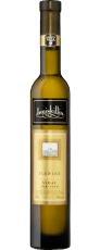 wine icon