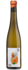 wine icon
